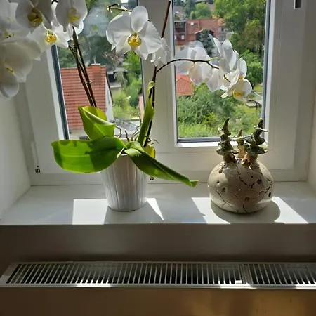 Βίλα Beckurts Wernigerode